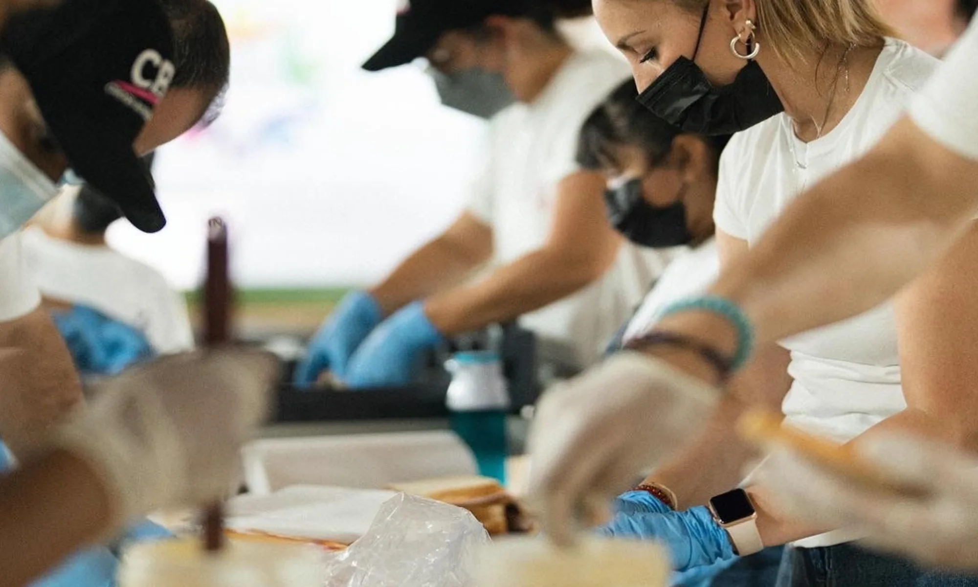 Destino-Los-Cabos-magazine_blog_Nonprofit Organizations in Los Cabos and South Baja_ Where to Give, Volunteer, and Get Involved 04