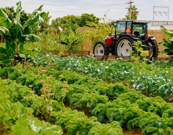 Destino-Los-Cabos-magazine_blog_A Slow Food Exploration of Todos Santos – With Chef Aurelien Legay 01