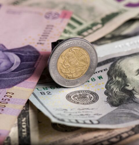 Money: Dollars and Pesos