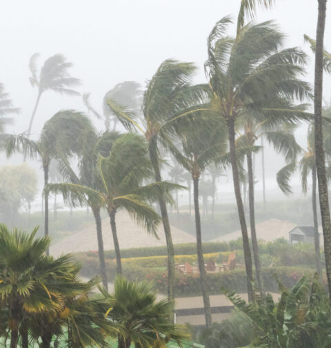 hurricane-season-in-los-cabos