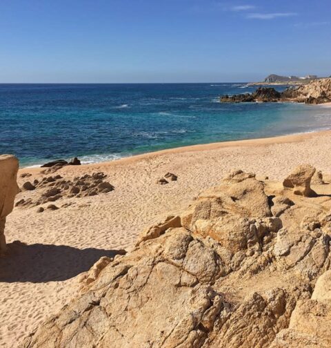 las-viudas-beach-los-cabos