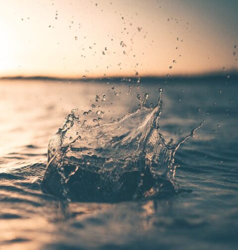 baja-bubble-charity-work-in-los-cabos