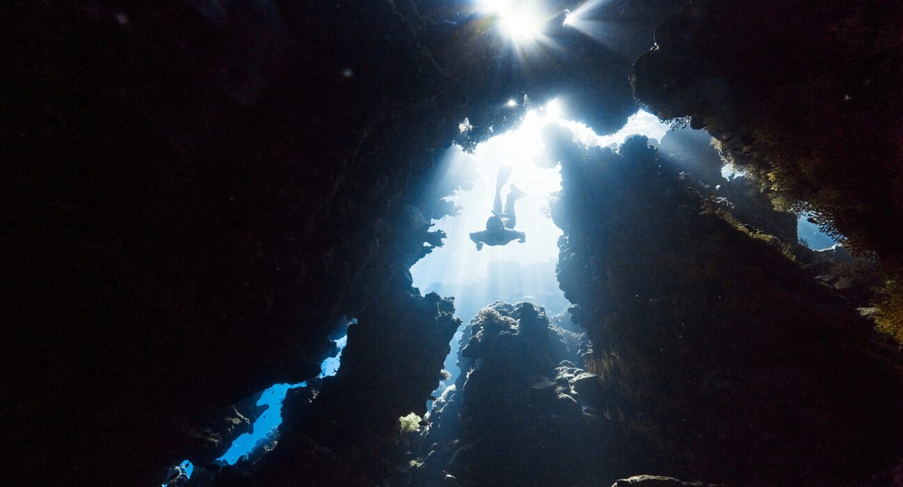 best-scuba-diving-spots-in-baja