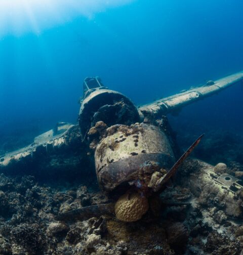 airplane-wreck-diving-los-cabos