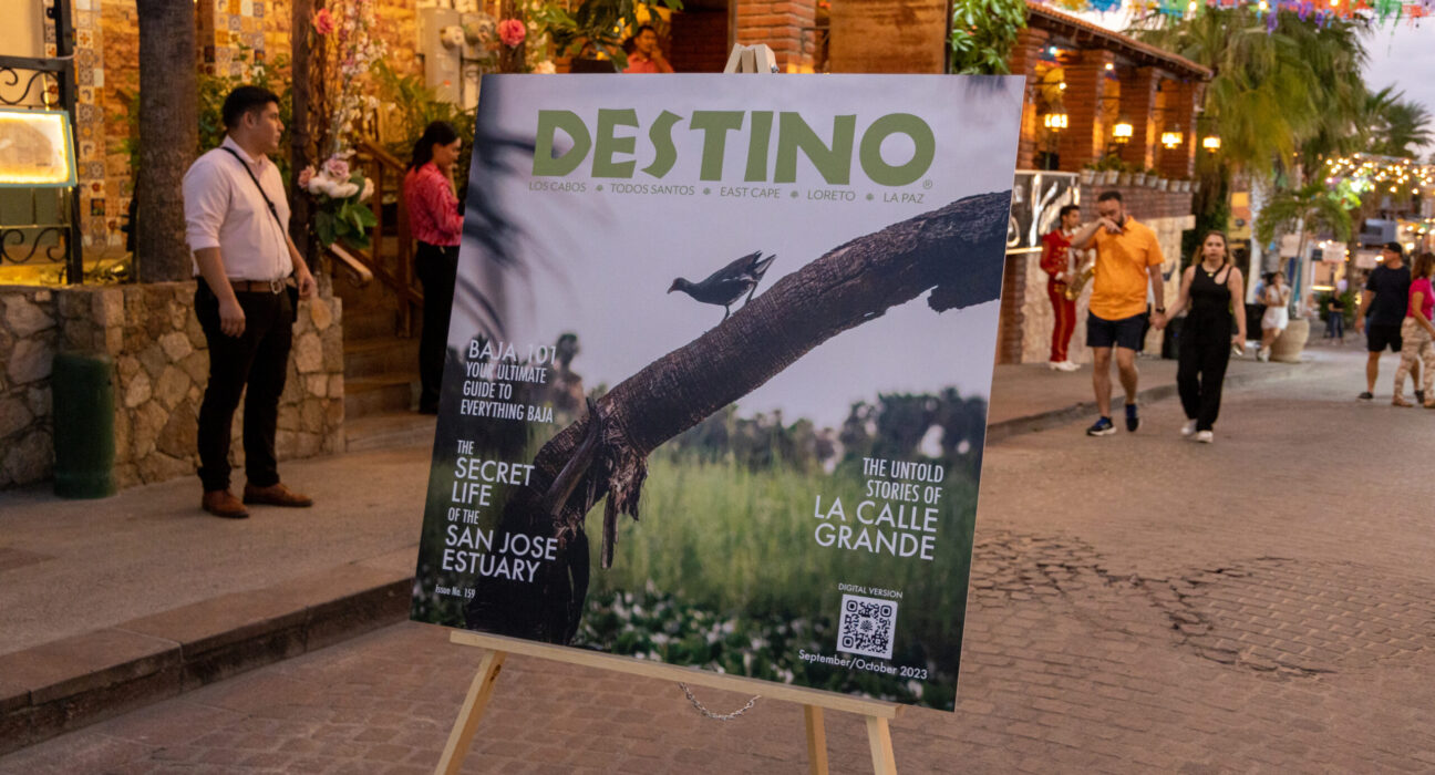 the-bes-of-2023-with-destino