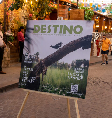 the-bes-of-2023-with-destino