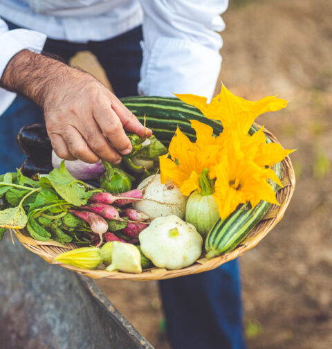 clean-eating-los-cabos