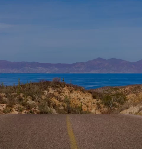 Destino-Los-Cabos-magazine_blog_Desert Art Blog-06