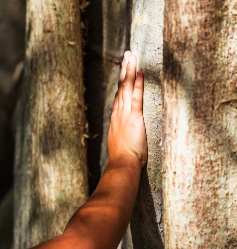 Destino-Los-Cabos-magazine_blog_Reimagining Travel 01