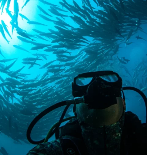 Destino-Los-Cabos-magazine-blog_The Wonders of Los Cabos_01