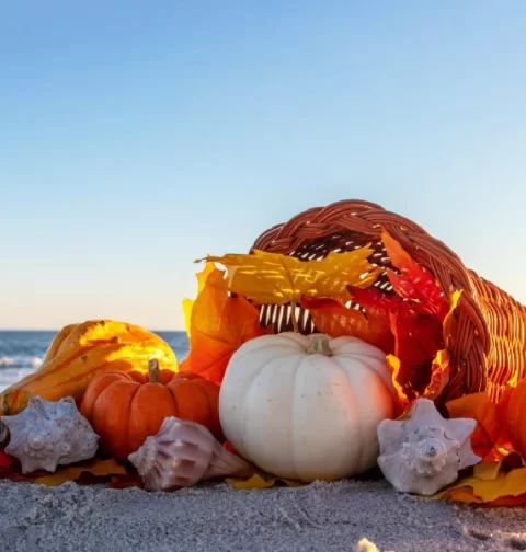 Destino-Los-Cabos-magazine_blog_Difference Between Canadian and American Thanksgiving 01