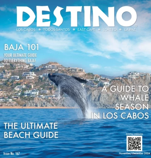 Destino-Los-Cabos-New-Issue 2024_11-12