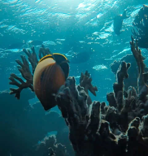 Destino-Los-Cabos-magazine_blog_The Ultimate Spring Bucket List for Los Cabos 01