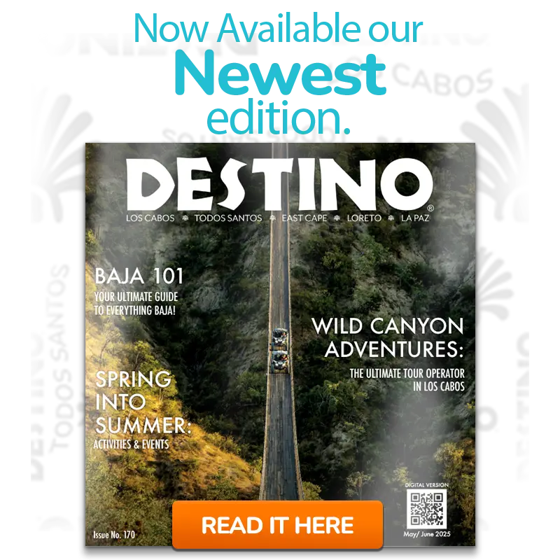Destino-Los-Cabos-banner new issue