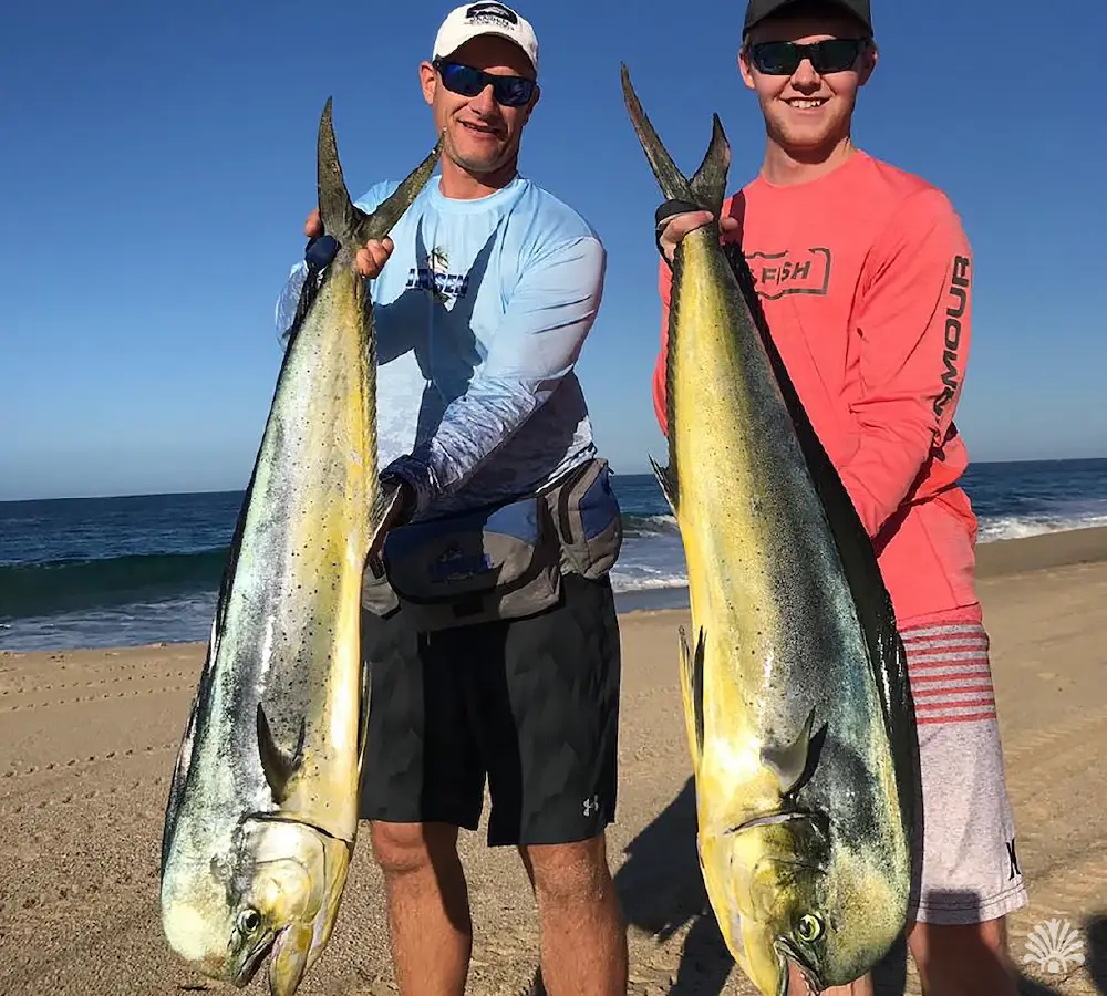 Destino-Los-Cabos-magazine_blog_Get Ready for Summer Fishing in Cabo 03