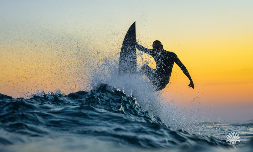 Destino-Los-Cabos-magazine_blog_The Ultimate Surf and Real Estate Guide to Baja California Sur 05