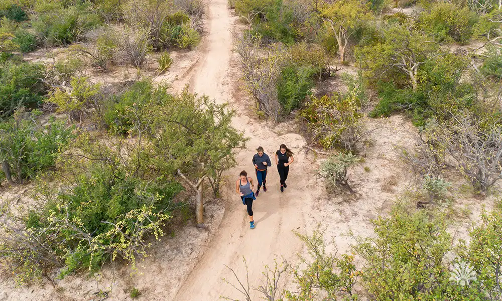 Destino-Los-Cabos-magazine_blog_Querencia and the Rise of Year-Round Family Living in Los Cabos 04