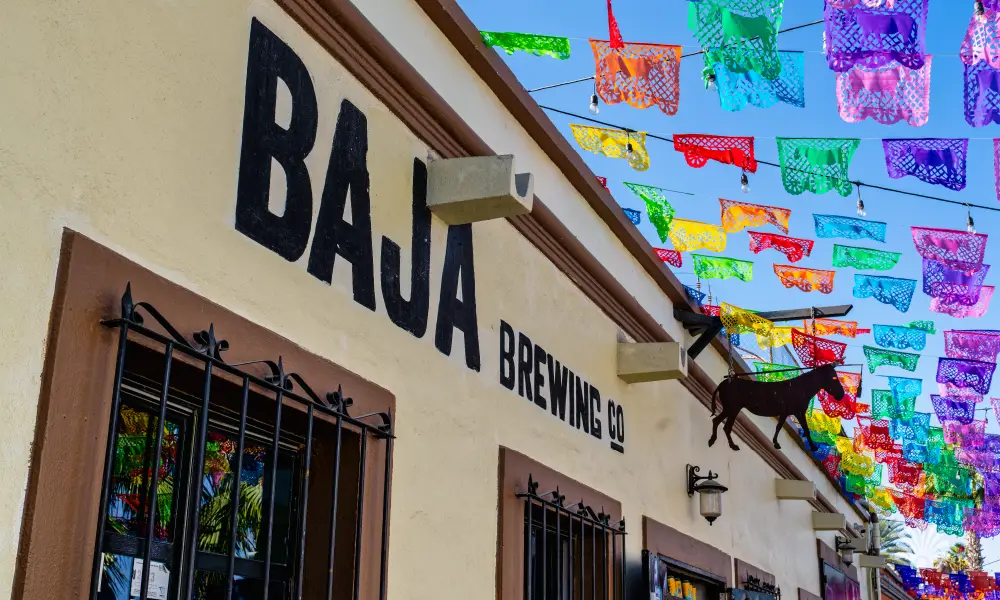 Destino-Los-Cabos-magazine_blog_The Best Pubs and Bars in Baja California Sur 03