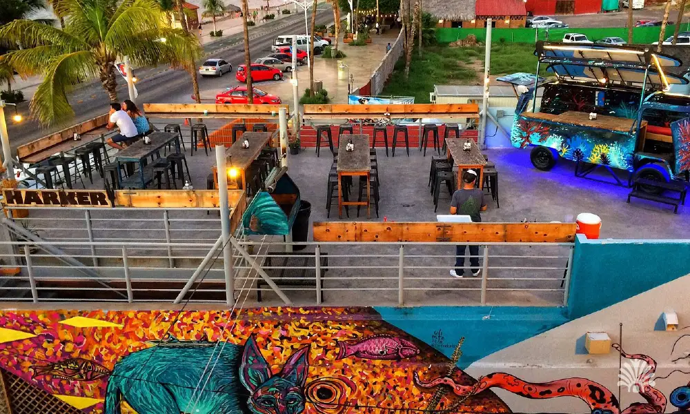 Destino-Los-Cabos-magazine_blog_The Best Pubs and Bars in Baja California Sur 06