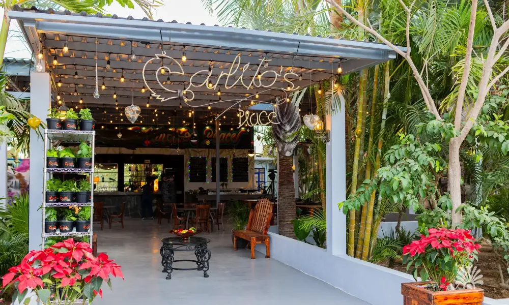 Destino-Los-Cabos-magazine_blog_Top Restaurants in Cerritos and Pescadero You Need to Visit 02