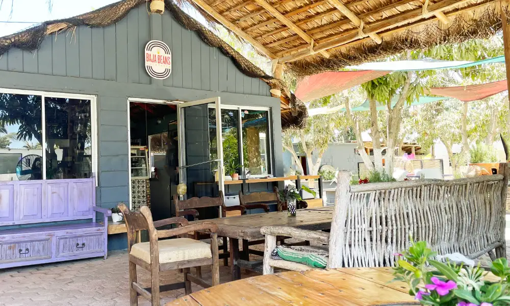 Destino-Los-Cabos-magazine_blog_Top Restaurants in Cerritos and Pescadero You Need to Visit 05