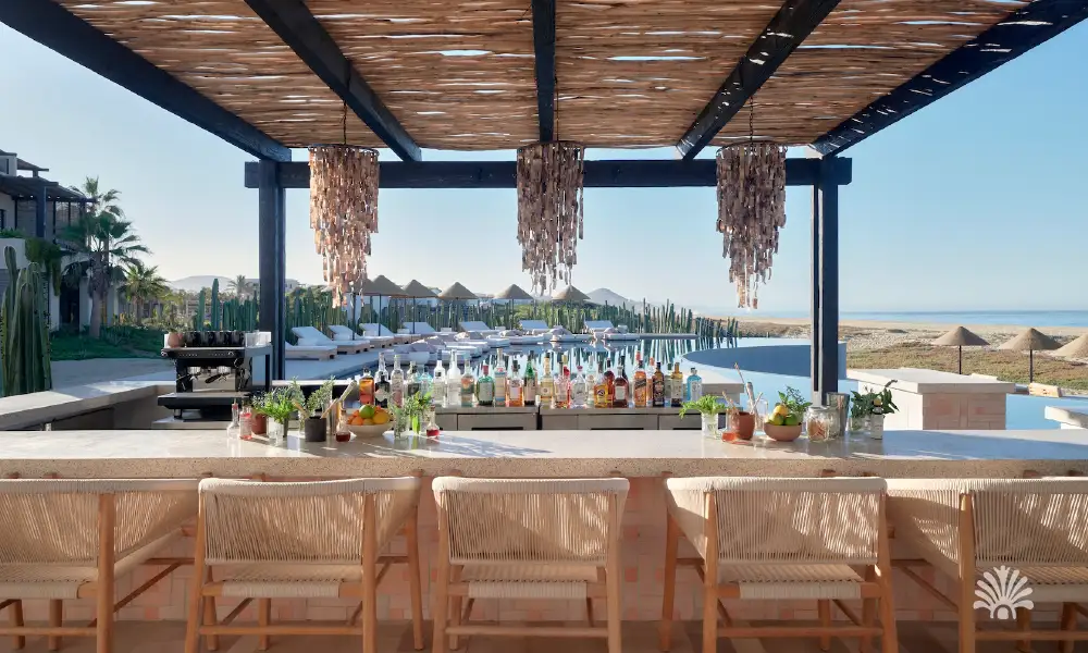 Destino-Los-Cabos-magazine_blog_Top Restaurants in Cerritos and Pescadero You Need to Visit 11