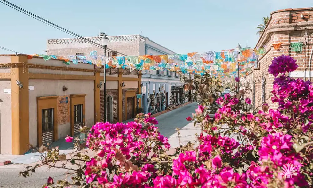 Destino-Los-Cabos-magazine_blog_Why Life In Todos Santos Feels Different_ Baja´s Most Beautiful Lifestyle Destination 04