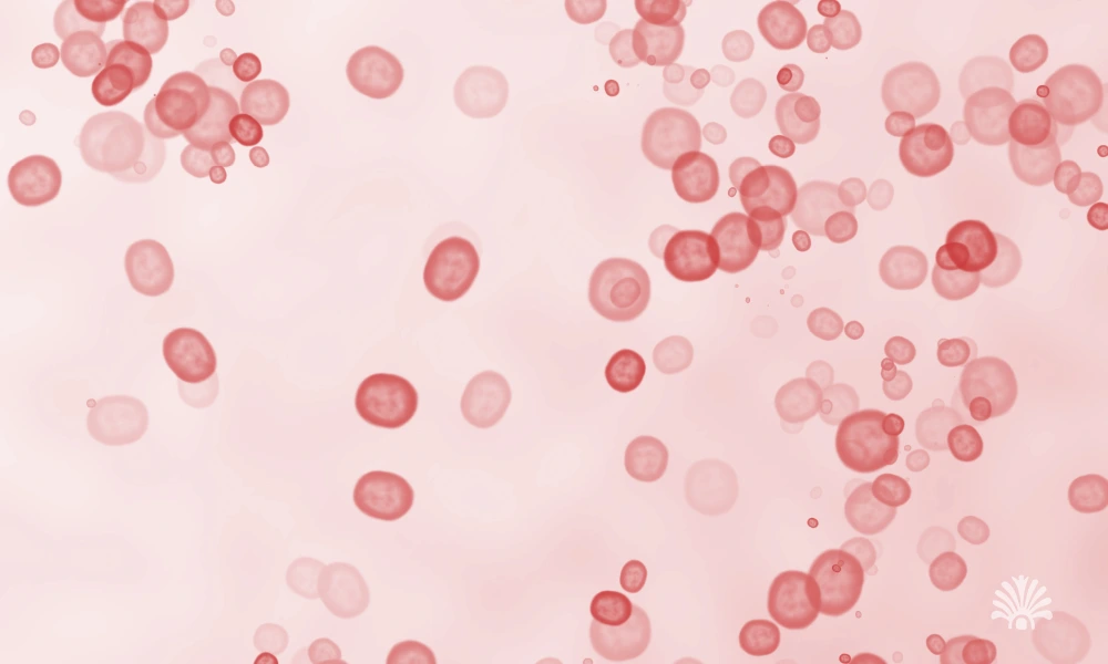 Destino-Los-Cabos-magazine_blog_Why Private Developments Are Investing in Healthcare, Education, and Community Services in Los Cabos 03