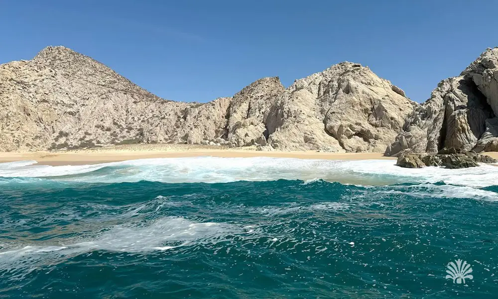 Destino-Los-Cabos-magazine_blog_From Party Town to Healing Destination_ Why Wellness Entrepreneurs Are Flocking to Los Cabos 05