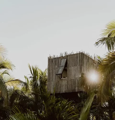 Destino-Los-Cabos-magazine_blog_From the Ground Up_ Three Expert Voices on Building in Baja 05