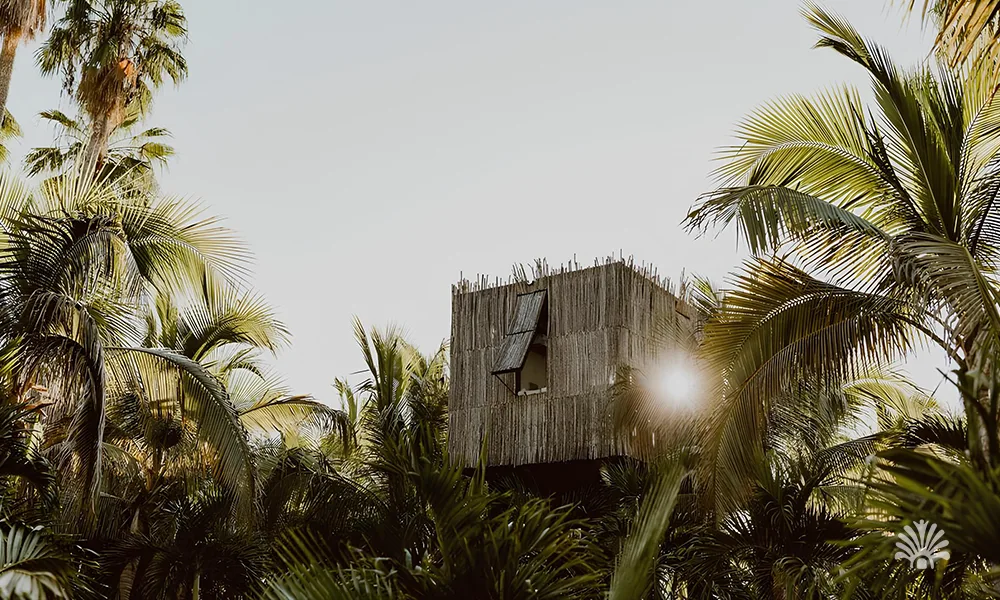 Destino-Los-Cabos-magazine_blog_From the Ground Up_ Three Expert Voices on Building in Baja 05