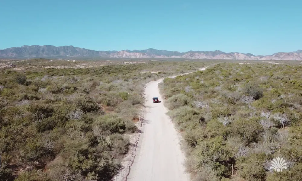 Destino-Los-Cabos-magazine_blog_Insurance in Mexico_ What Every Foreign Resident Should Know About Home, Health, Car, and Family Coverage 03