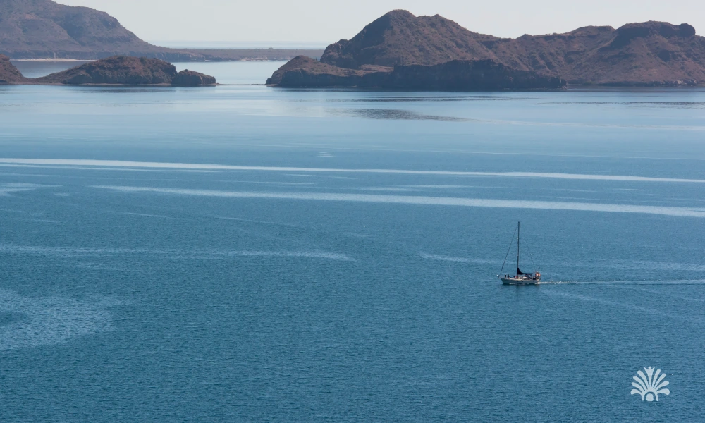 Destino-Los-Cabos-magazine_blog_Sport Fishing in Loreto_ Everything You Need to Know 01