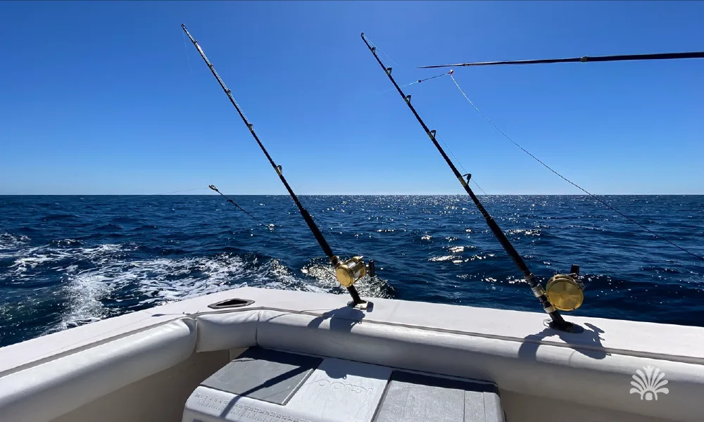 Destino-Los-Cabos-magazine_blog_Sport Fishing in Loreto_ Everything You Need to Know 03