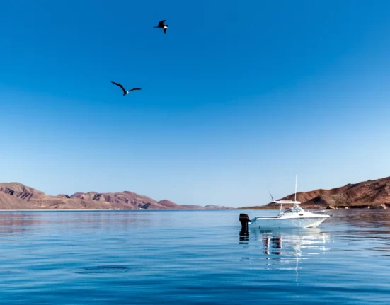 Destino-Los-Cabos-magazine_blog_Sport Fishing in Loreto_ Everything You Need to Know 04