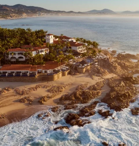 Destino-Los-Cabos-magazine_blog_When Living Well Means Living Longer_ Why Regenerative Medicine Is Entering the Real Estate Conversation 01