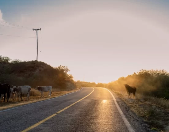 Destino-Los-Cabos-magazine_blog_Beyond Cabo_The Best Day Trips to La Paz, Todos Santos, and the East Cape 01