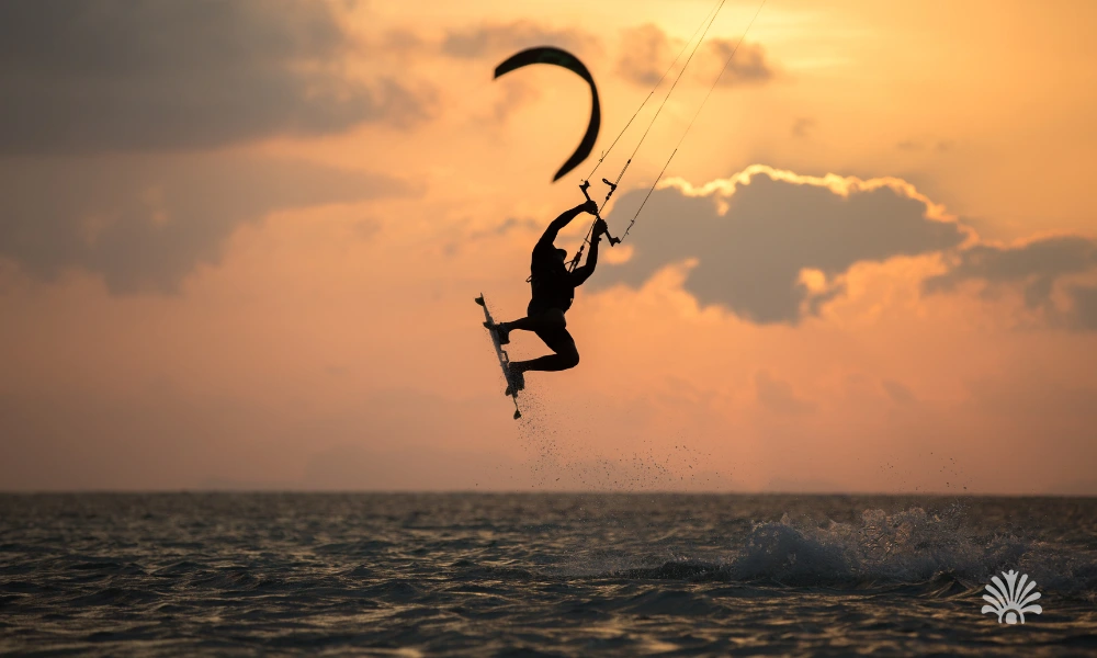 Destino-Los-Cabos-magazine_blog_Beyond Cabo_The Best Day Trips to La Paz, Todos Santos, and the East Cape 04