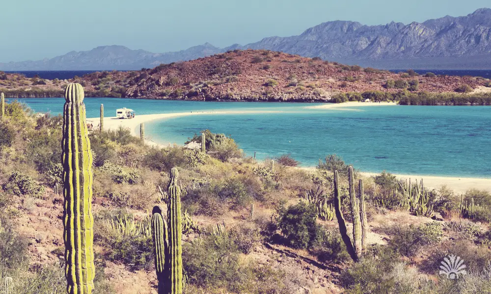 Destino-Los-Cabos-magazine_blog_Beyond Cabo_The Best Day Trips to La Paz, Todos Santos, and the East Cape 05