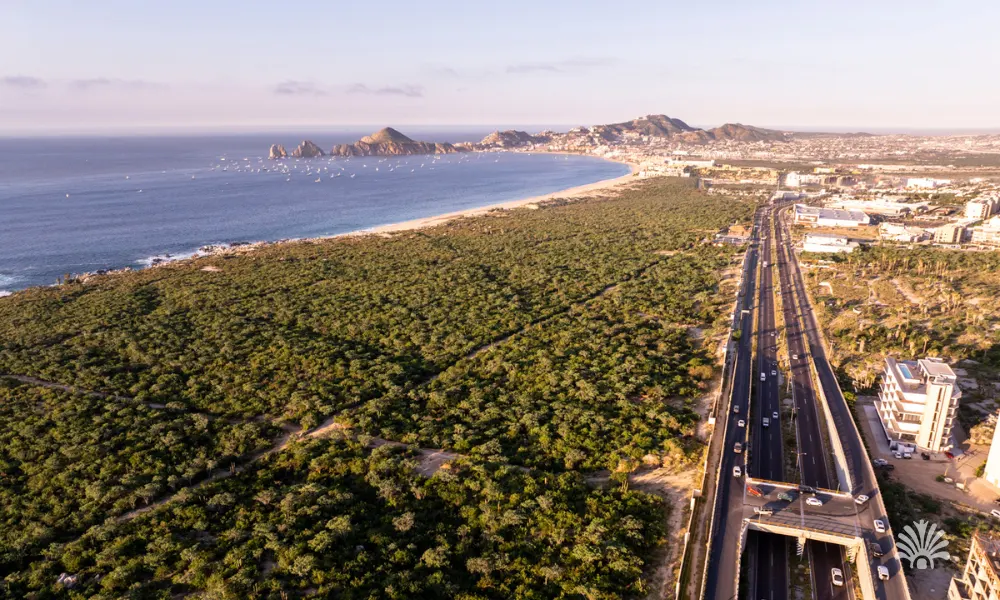 Destino-Los-Cabos-magazine_blog_Los Cabos Airport Transportation_ How to Get from San Jose del Cabo International to Your Destination 04