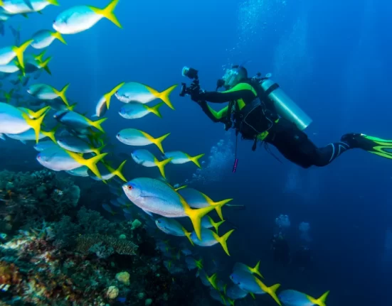 Destino-Los-Cabos-magazine_blog_Scuba Diving in Loreto_ Exploring the Depths of the Sea of Cortez 01