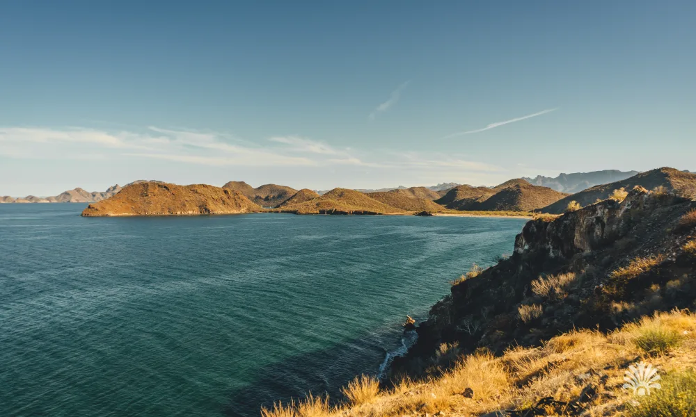 Destino-Los-Cabos-magazine_blog_Scuba Diving in Loreto_ Exploring the Depths of the Sea of Cortez 02