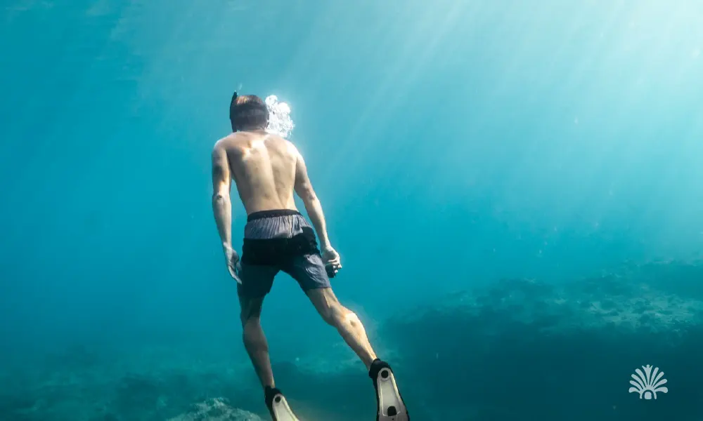 Destino-Los-Cabos-magazine_blog_Scuba Diving in Loreto_ Exploring the Depths of the Sea of Cortez 04