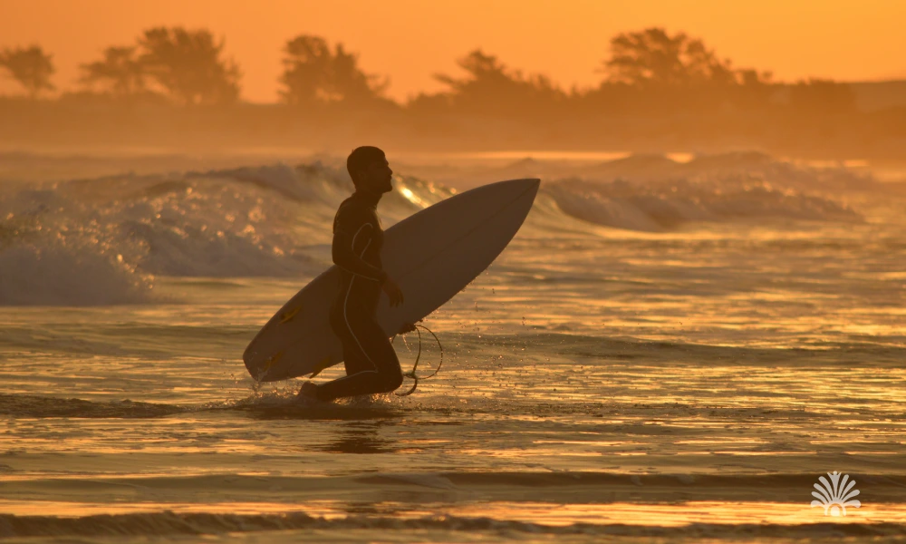 Destino-Los-Cabos-magazine_blog_Slow Surfing in Baja California Sur_A Mindful Approach to Surfing 04