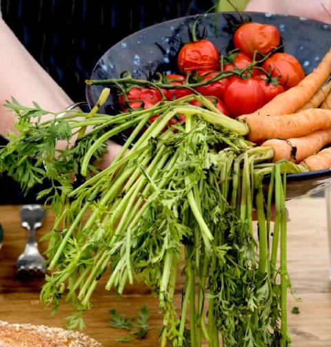 Destino-Los-Cabos-magazine_blog_Top Farm-to-Table Restaurants In Baja California Sur And The Local Farms Behind Them 01