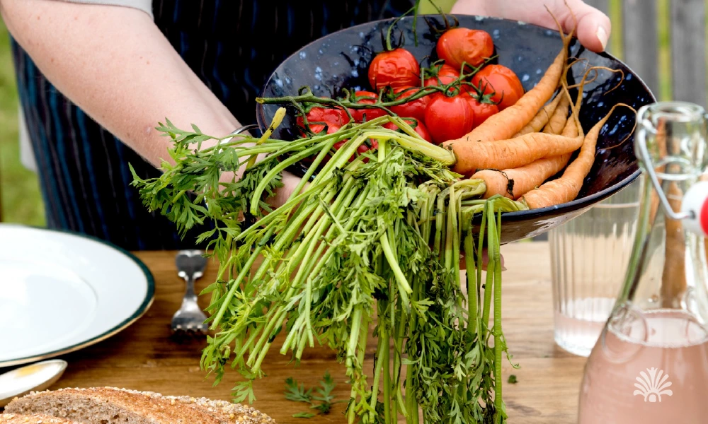 Destino-Los-Cabos-magazine_blog_Top Farm-to-Table Restaurants In Baja California Sur And The Local Farms Behind Them 01