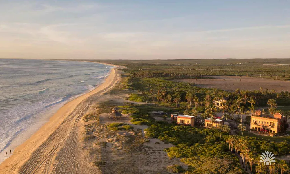 Destino-Los-Cabos-magazine_blog_Top Farm-to-Table Restaurants In Baja California Sur And The Local Farms Behind Them 02