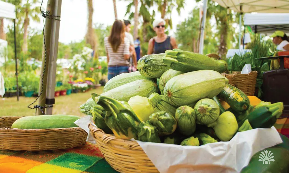 Destino-Los-Cabos-magazine_blog_Top Farm-to-Table Restaurants In Baja California Sur And The Local Farms Behind Them 03