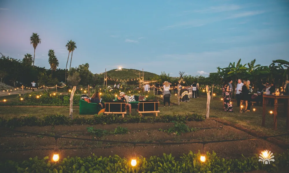 Destino-Los-Cabos-magazine_blog_Top Farm-to-Table Restaurants In Baja California Sur And The Local Farms Behind Them 04
