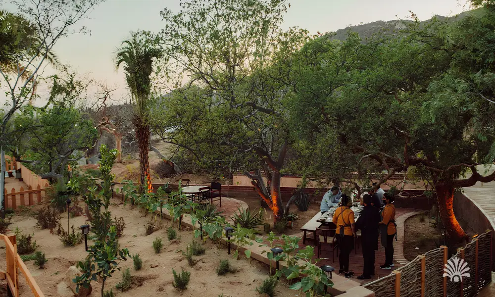 Destino-Los-Cabos-magazine_blog_Top Farm-to-Table Restaurants In Baja California Sur And The Local Farms Behind Them 05